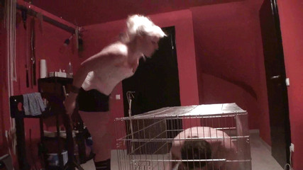 Poked and spitted all over him