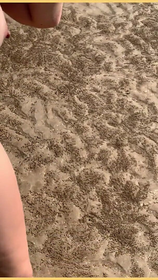 Wifey Walks Around Beach Fully Nude