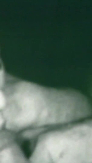 Old Fucking Memories