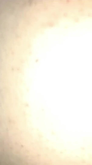 Salma Arabic Fuck part 65