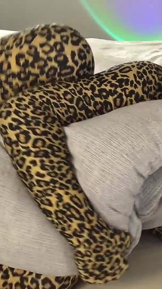 Blondehottiek Chaturbate Humping Pillow in Zentai Catsuit