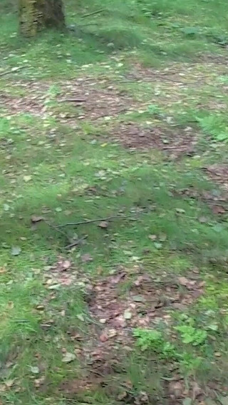 Thai Cum Slut Goes on a British Dogging Adventure