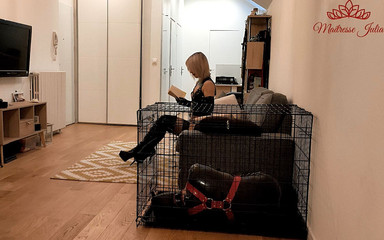 Maitresse Julia. Latex Femdom. My Virgin slave gets his ass fucked.