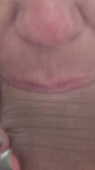 Morning Wood in the Redwoods