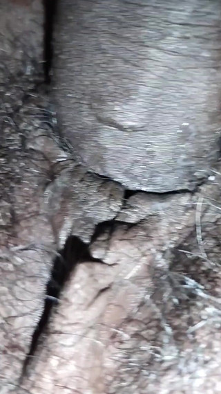 Couples My Wife Night Time Sex