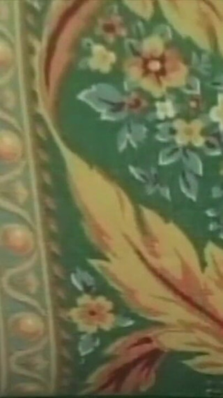 The Busty Woman and the Loser: First Amateur Porn Video