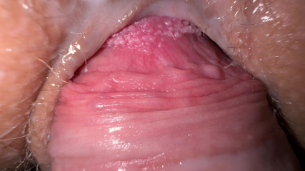 Secret Fuck with the Best Friend and Hot Ass Rubbing Cumshot