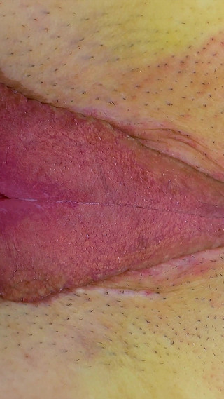 Arielle Lane - Put 'em on the Glass Ii