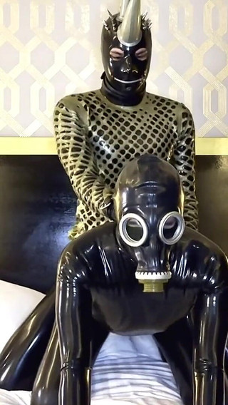 Golden Master, Part 2 - Alex Latex