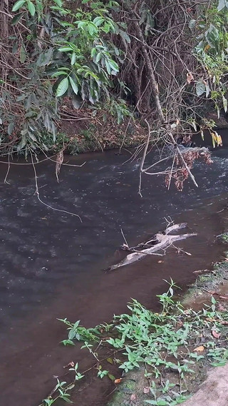 A Meeting Between Strangers at the Creek Ends in Unexpected Sex.