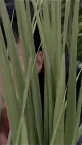 A Four-way on the Stairs with 2 Beautiful Sluts