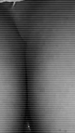 Stepsister Sat on My Face with Her Ass. Homemade Facesitting.