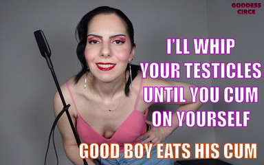 I’ll Whip Your Testicles Until You Cum on Yourself - Good Boy Eats His Cum