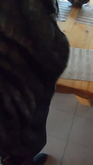 Double Pleasure with Milfycalla Episode 37 of 47 Anal, Blowjobs & Hot Finish