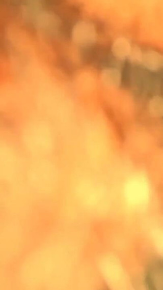 My Step Mom and Me Desi Fucking Indian Mummy