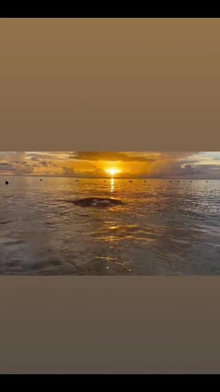 A Goddess’s Sunset Is the Signature to End the Day