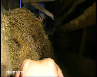 A Rustic Picnic for a Nice Chic Miss Good Kind