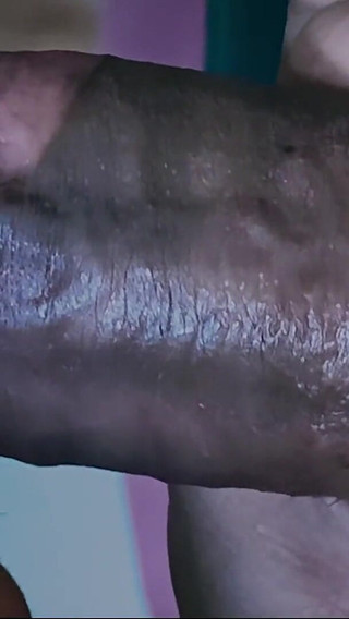 Playful Sucks & Tasty Licks