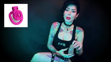 Wear the Clitty Chastity for a Month Let's Shrink Your Leftover Shrimp Locktober Shrinking