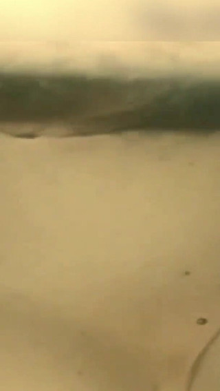 Real amateur slutty wife really loves to take cum in mouth - Homemade