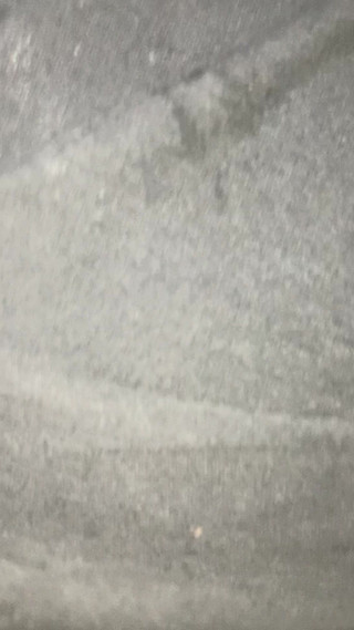 Allice Riding My Huge Dick