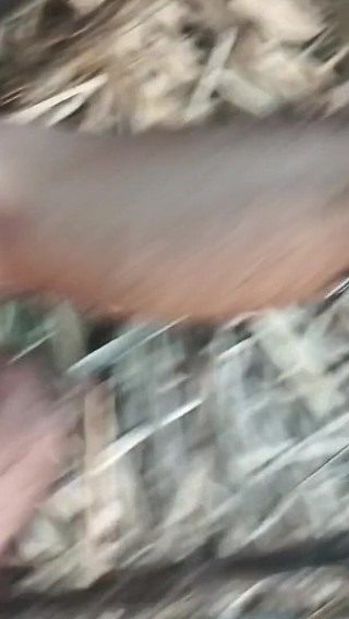 My Hot Woman and I in the Dirt in the Sugarcane Field Desi Video