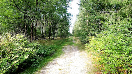 Only One Tit Punished in Public