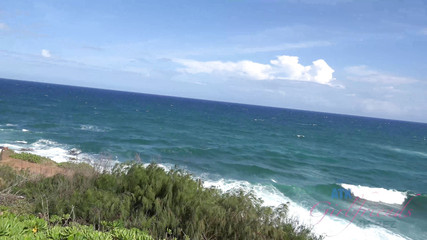 Virtual vacation Kauai Zaya Cassaidy 3/8