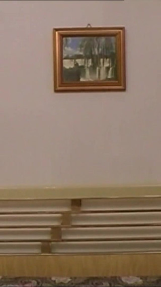 Fabiana Likes Everything