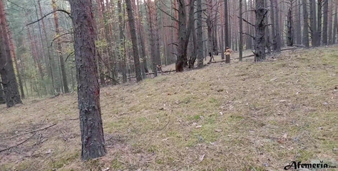 Horny Babe Caught in the Forest and Doggystyle Fucked