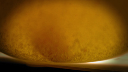 Giantess Bunny Bliss