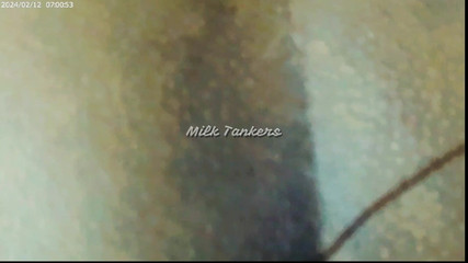 Relationship with Neighbor 2