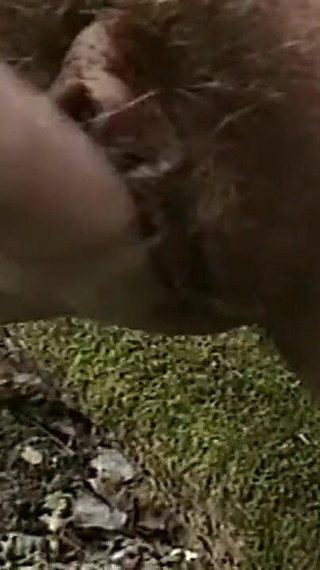 From Pole to Breed - Part 01