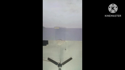 Kolkata Stepaunty Local Stepaunty Pussy Stepaunty Big Stepaunty Hard Core Sex Stepaunty Indian Stepaunty Desi Stepaunty Sexy Stepaunty Big Ass