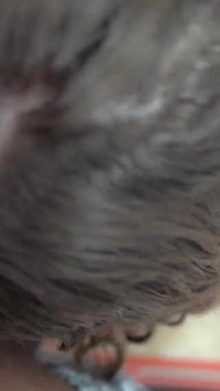 3 Horny Sluts Suck Their Boss's Cock