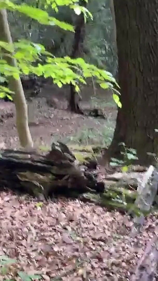 Caught a Couple in the Woods and Joined in