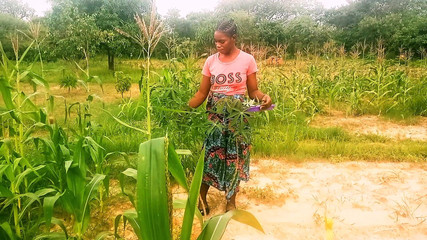 Exploring My Field in Search of Relish