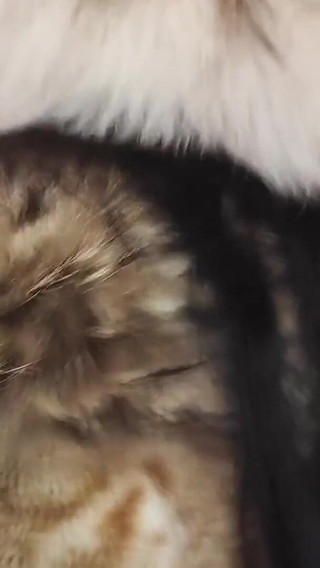 Goddess in Furs, Toilet Slavery