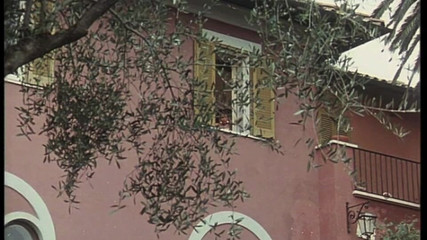 They Fuck in the Garden While the Friend Watches Them From the Window