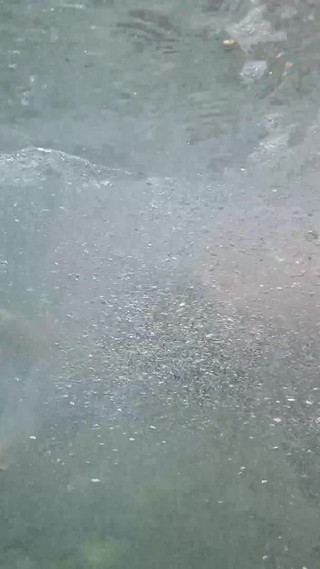 Fuck Golden Shower Piss Rimming Facial in Murky Water