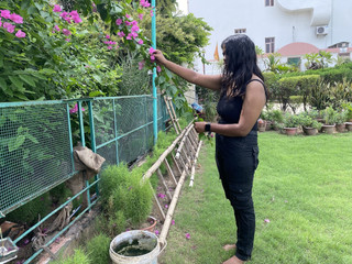 Boyfriend and Girlfriend Have Hard Sex - Deshi Videos