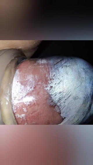 Slave Pumps up Her Cunt While Watching TV for Her Master! Part 1