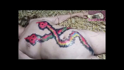 Two Snakes in the Haystack - Part 2