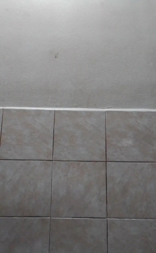 First Time with the L Size Bunny Anal Plug