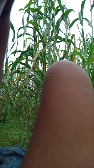 Desi Village Sex Video Goes Viral