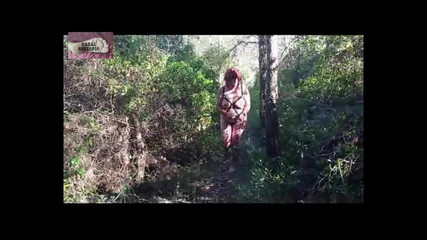 Dominated in Forest 3