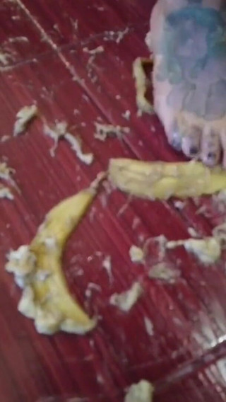 A banana is trampled by a blonde tattooed MILF