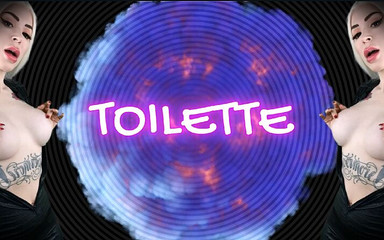 Cheater's Punishment: the Toilet Transformation (original)