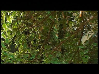 Beautiful Young Sluts and Hot Busty MILFs Fucked and Cummed in Mouth by Big Vintage Cocks