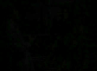 Stunning lesbians toying and licking cunts